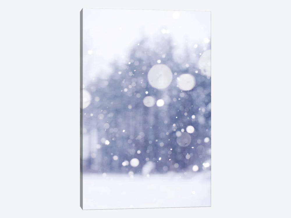 Winter Days by Chelsea Victoria 1-piece Canvas Print