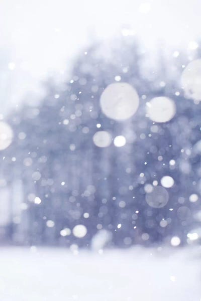 Ice & Snow Close-Ups: Winter Days by Chelsea Victoria