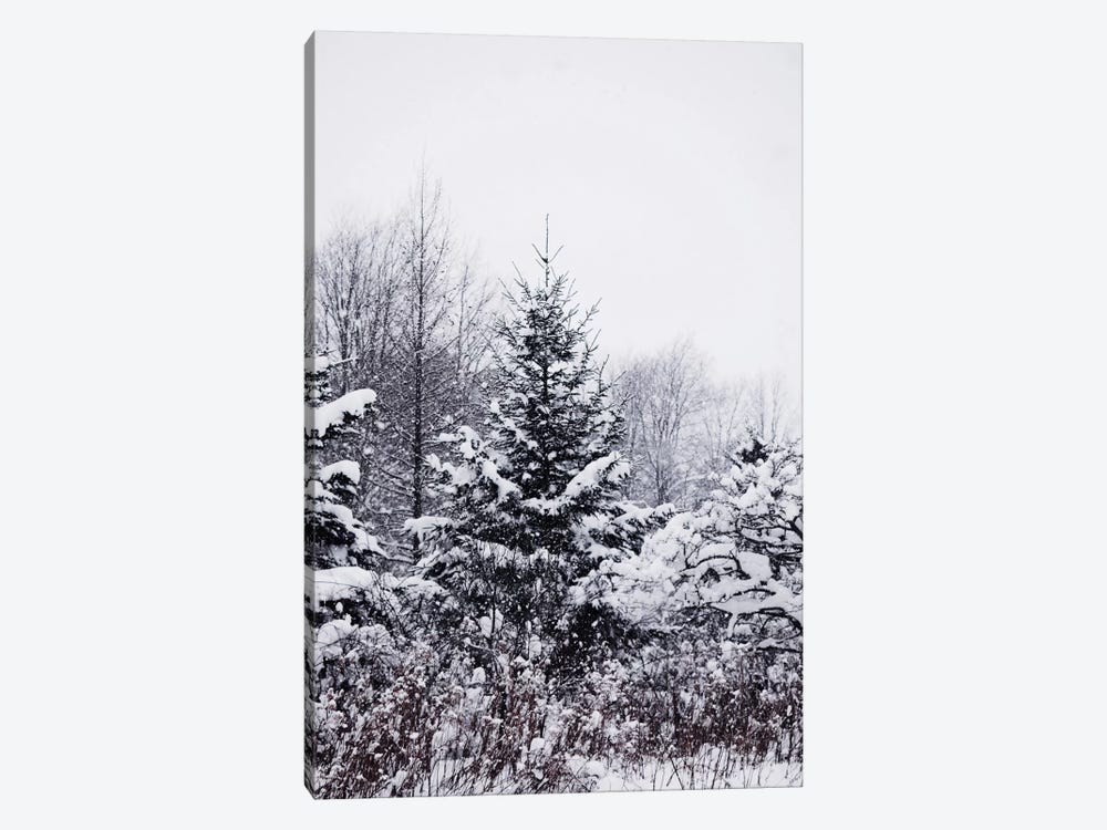 Winter Pines by Chelsea Victoria 1-piece Canvas Art Print