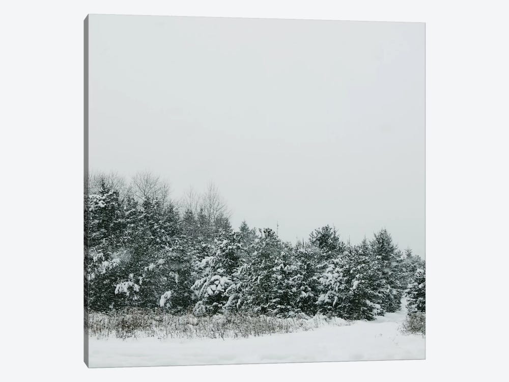 Winter Shades II by Chelsea Victoria 1-piece Canvas Wall Art