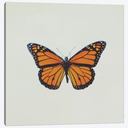 Butterfly Canvas Print #CVA126} by Chelsea Victoria Canvas Artwork
