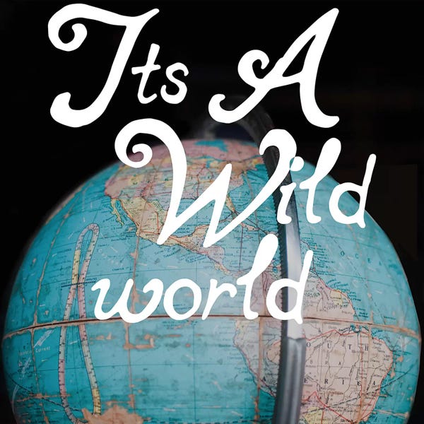 Chelsea Victoria: Wild World by Chelsea Victoria