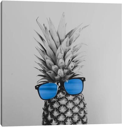 Mr. Pineapple II Canvas Art Print - Color Pop Photography