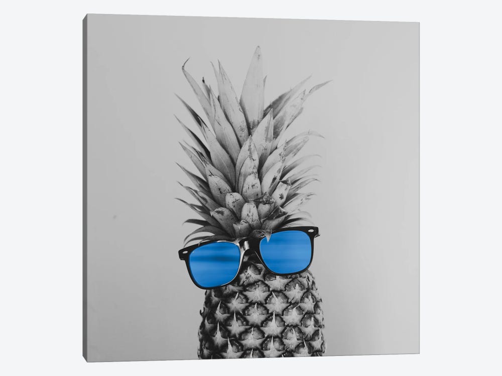 Mr. Pineapple II by Chelsea Victoria 1-piece Canvas Artwork