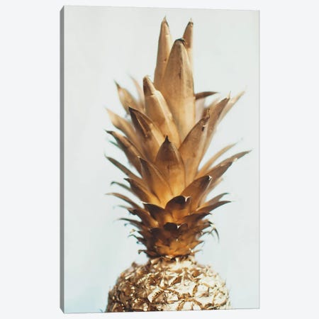 The Gold Pineapple Canvas Print #CVA135} by Chelsea Victoria Canvas Art Print