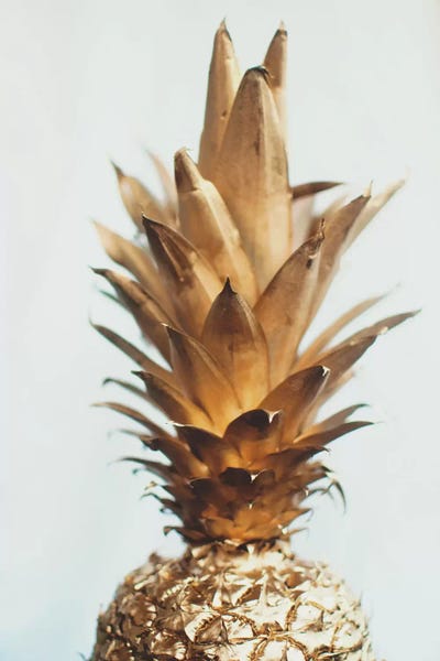 Still Life Photography: The Gold Pineapple by Chelsea Victoria