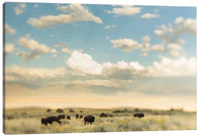 The Herd Canvas Art Print - Field, Grassland & Meadow Art