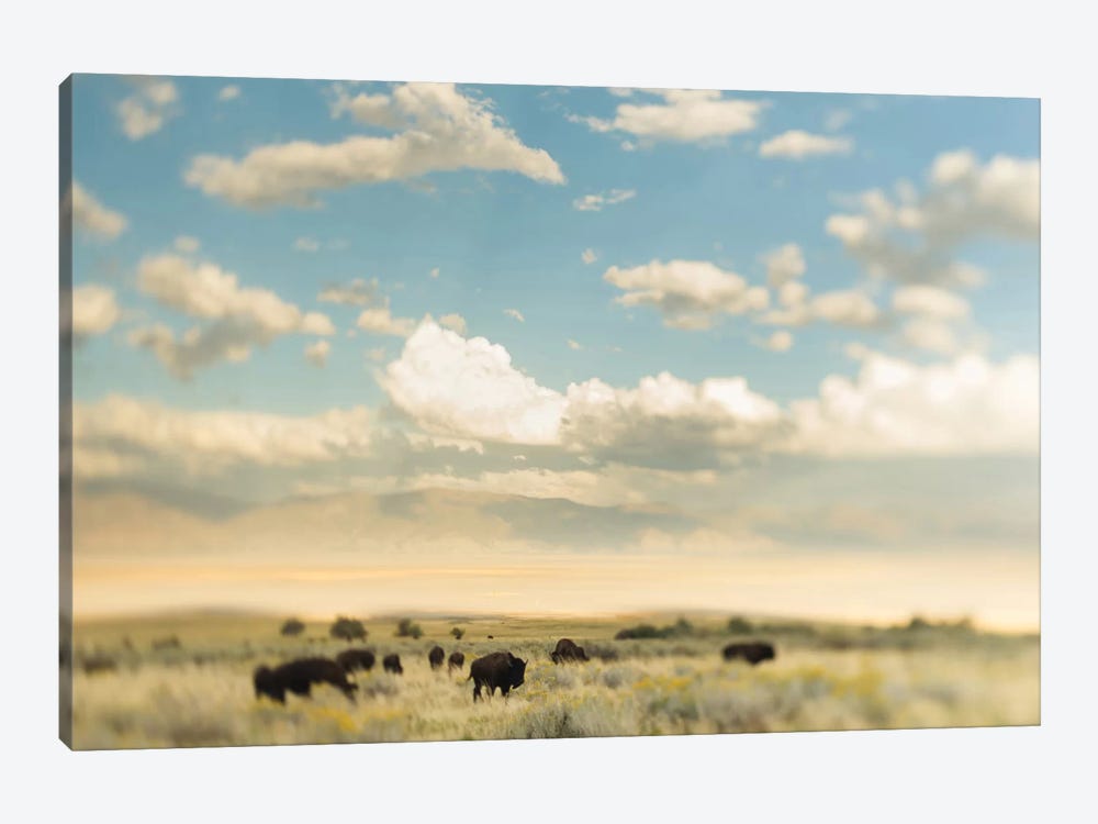 The Herd by Chelsea Victoria 1-piece Canvas Artwork