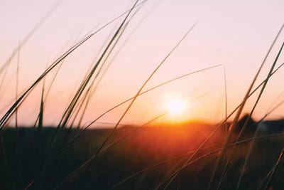 Cape Cod Meadow by Chelsea Victoria acrylic art print