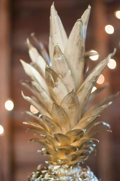 Gold Pineapple I by Chelsea Victoria wall art