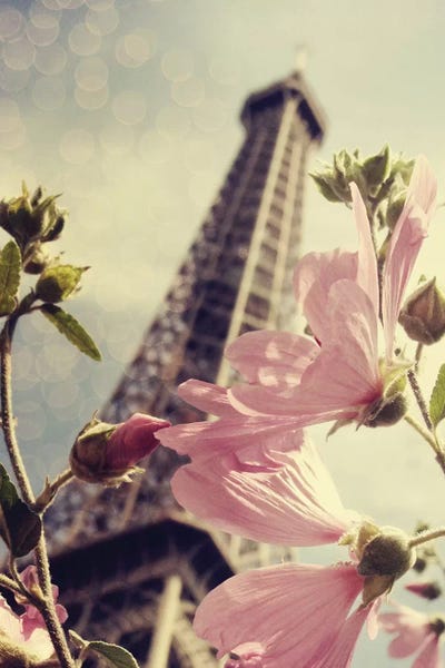 Paris Is Blooming