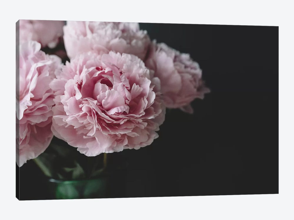 Peonies On Black I by Chelsea Victoria 1-piece Canvas Wall Art