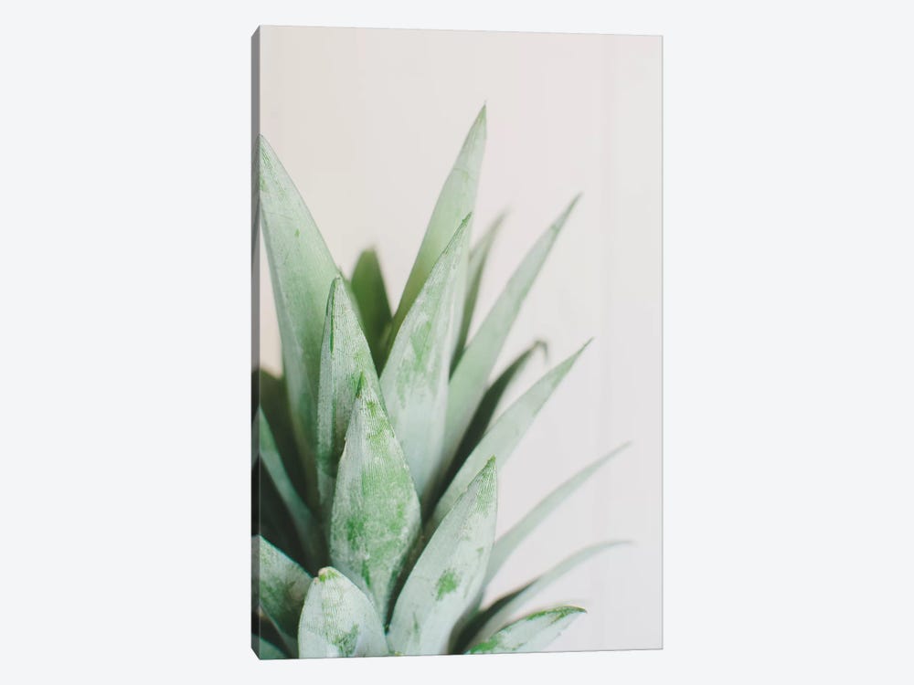 Pineapple Top I by Chelsea Victoria 1-piece Canvas Print