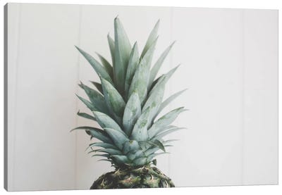 Pineapple Top II Canvas Art Print - Pineapple Art