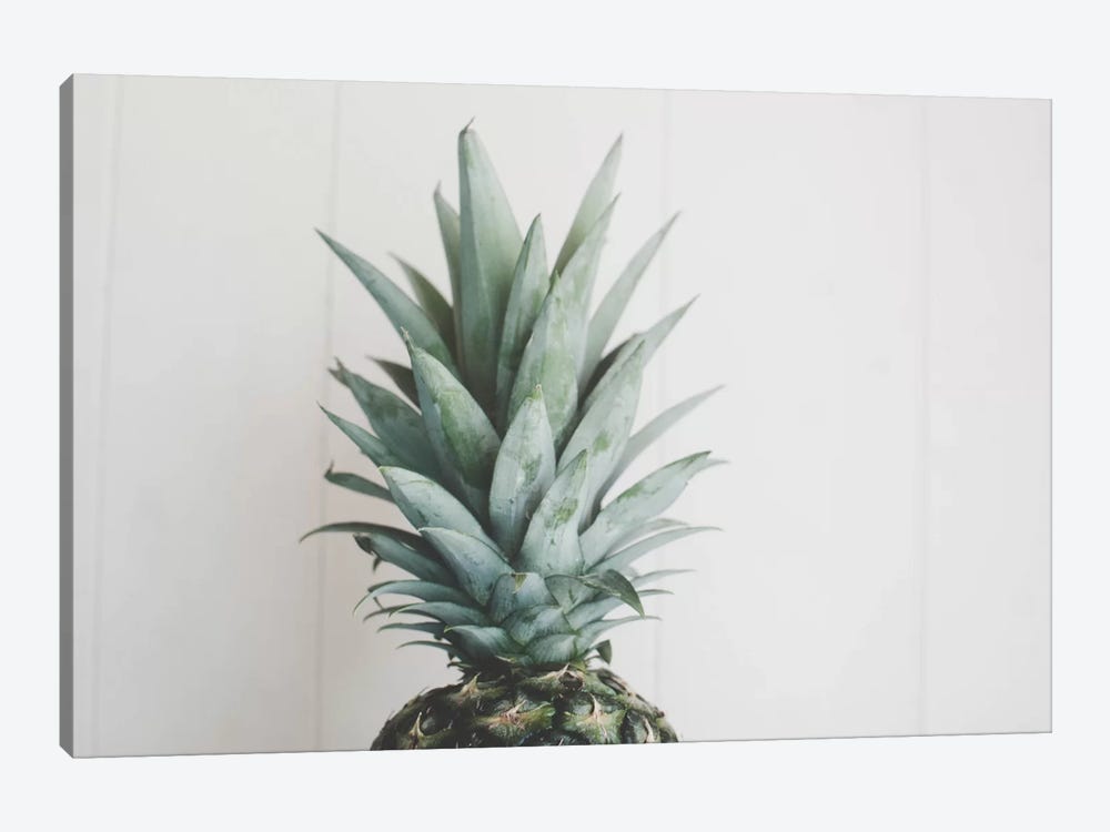 Pineapple Top II by Chelsea Victoria 1-piece Canvas Wall Art