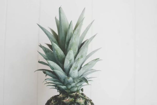 Chelsea Victoria: Pineapple Top II by Chelsea Victoria