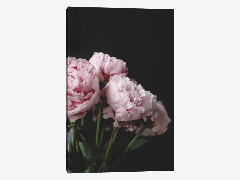 Pink Peonies On Black I by Chelsea Victoria 1-piece Canvas Wall Art