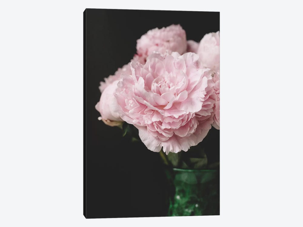 Pink Peonies On Black II by Chelsea Victoria 1-piece Canvas Print