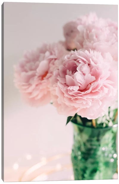 Pink Peonies On White II Canvas Art Print - Still Life Photography
