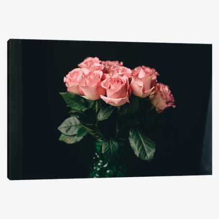 Pink Roses On Black I Canvas Print #CVA182} by Chelsea Victoria Canvas Print