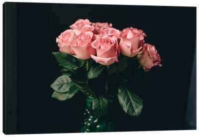 Pink Roses On Black I Canvas Art Print - Black & Pink Art