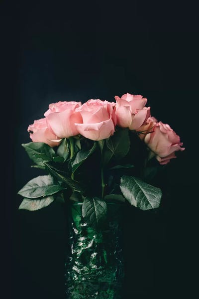 Black & Pink: Pink Roses On Black II by Chelsea Victoria