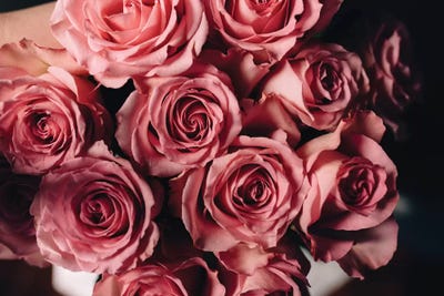 Pink Roses On Top by Chelsea Victoria acrylic art print