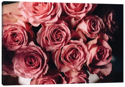 Pink Roses On Top Canvas Art Print - Chelsea Victoria