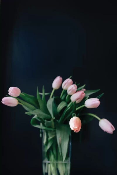 Pink Tulips by Chelsea Victoria acrylic art print
