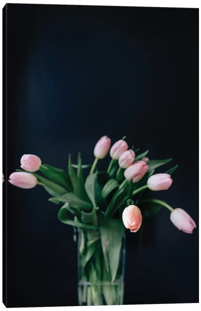 Pink Tulips Canvas Art Print - Tulip Art
