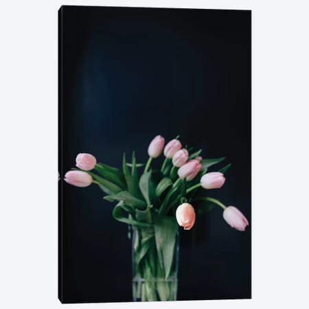 Pink Tulips Canvas Print #CVA185} by Chelsea Victoria Canvas Artwork