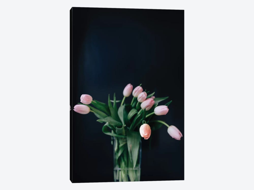 Pink Tulips by Chelsea Victoria 1-piece Canvas Artwork