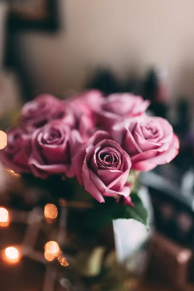 Purple Roses by Chelsea Victoria acrylic art print