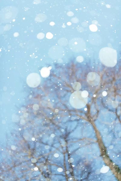 Snow Blast by Chelsea Victoria acrylic art print