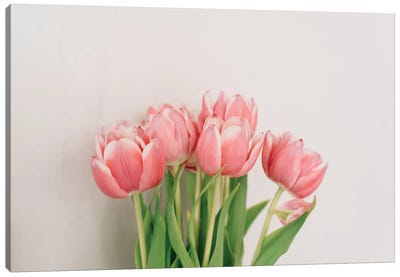 Spring Tulips Canvas Art Print - Tulip Art