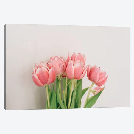 Spring Tulips Canvas Print #CVA196} by Chelsea Victoria Canvas Print