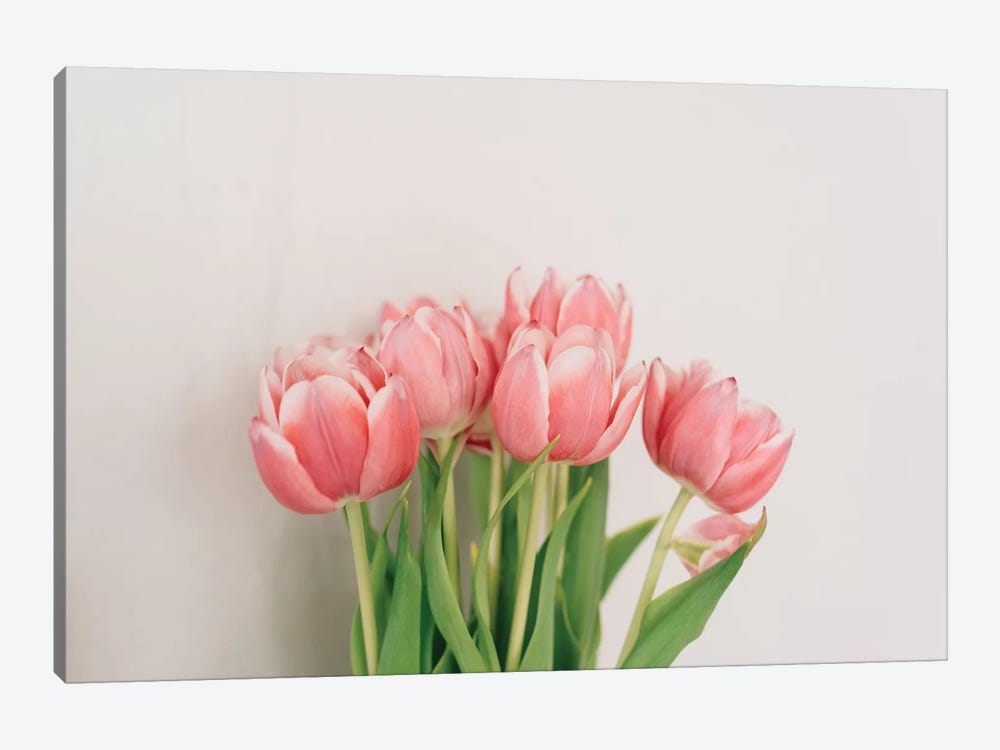 Spring Tulips by Chelsea Victoria 1-piece Canvas Art
