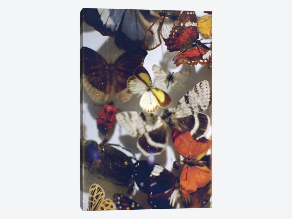The Butterfly Collection by Chelsea Victoria 1-piece Art Print