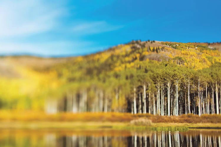 Willow Lake by Chelsea Victoria wall art