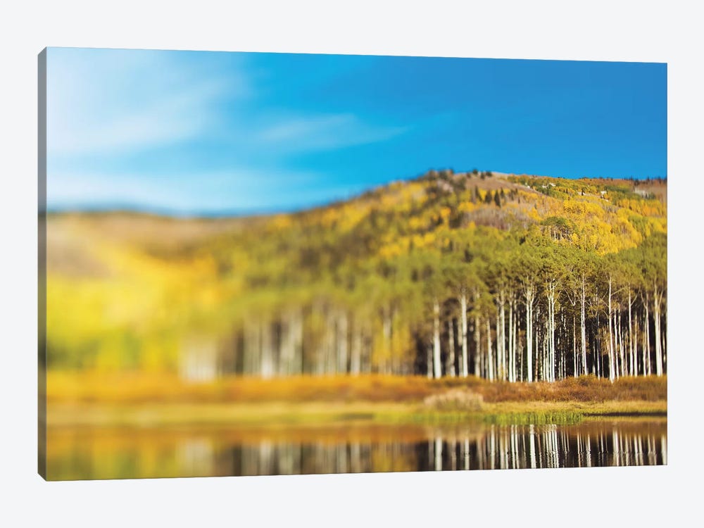 Willow Lake by Chelsea Victoria 1-piece Canvas Print
