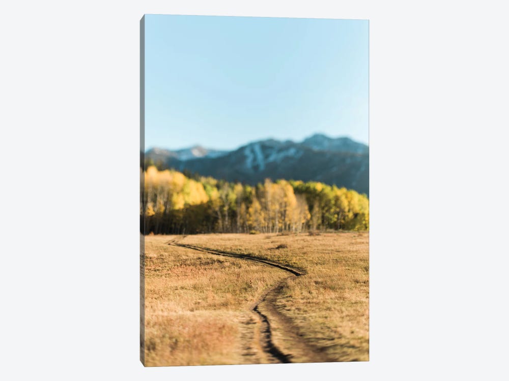 Willow Lake Path by Chelsea Victoria 1-piece Canvas Wall Art