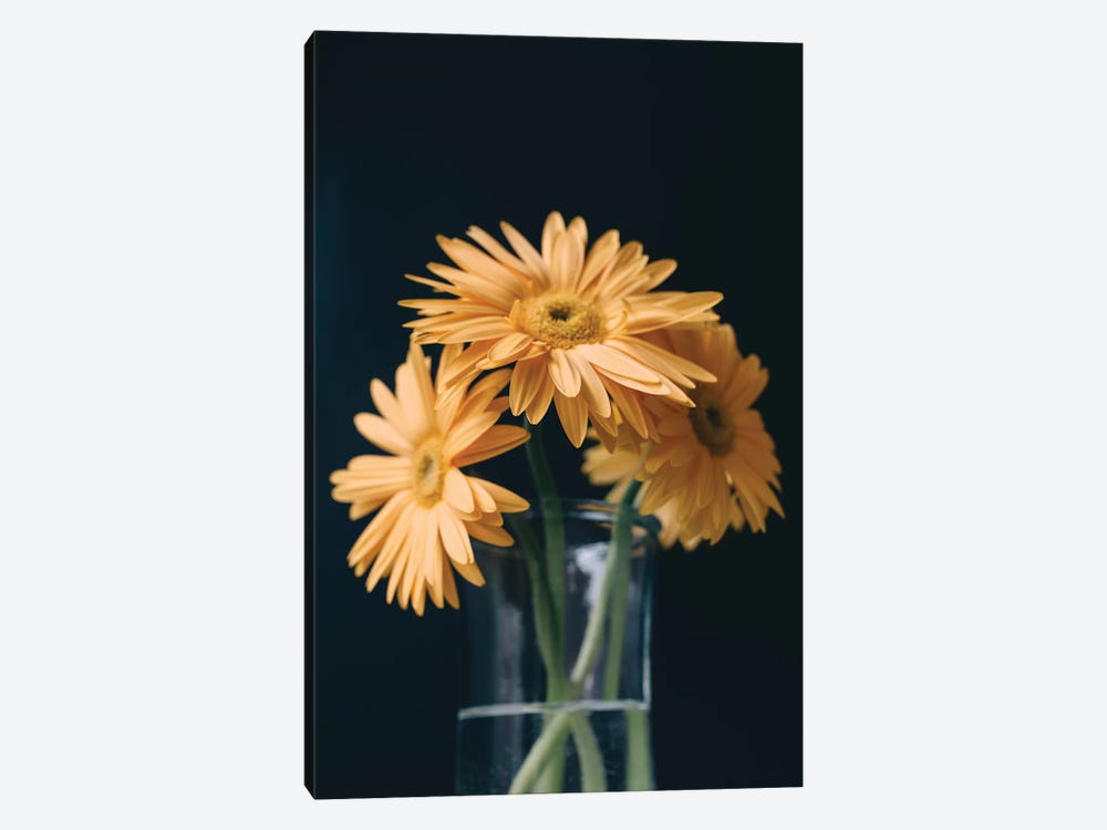 Yellow Daisies I by Chelsea Victoria 1-piece Canvas Wall Art