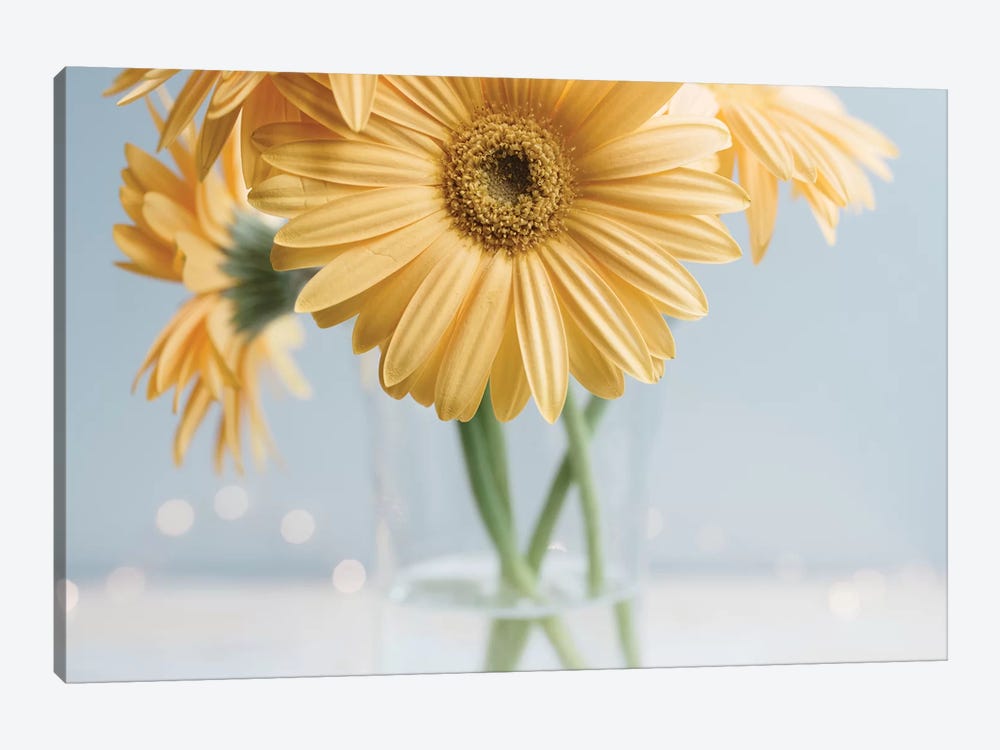 Yellow Daisies II by Chelsea Victoria 1-piece Canvas Print