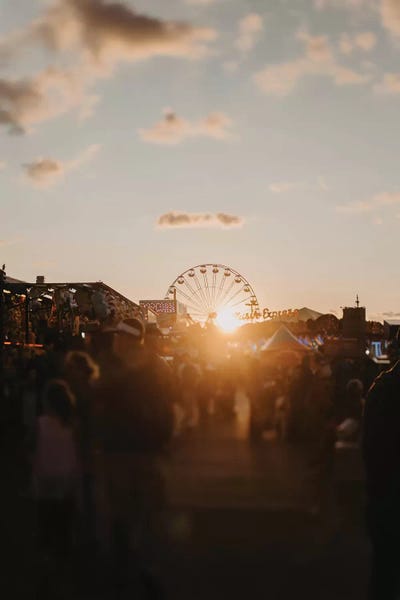 Amusement Parks: Fair by Chelsea Victoria