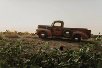 Fast Car by Chelsea Victoria acrylic art print