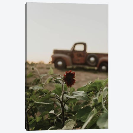 The Truck And The Sunflower Canvas Print #CVA218} by Chelsea Victoria Canvas Art Print