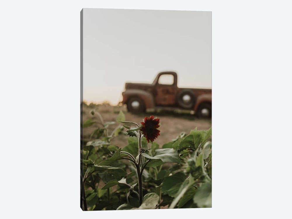 The Truck And The Sunflower by Chelsea Victoria 1-piece Canvas Artwork