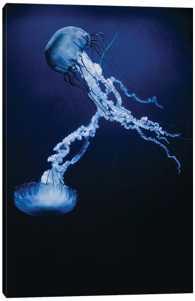 You Make Me Feel Canvas Art Print - Jellyfish Art