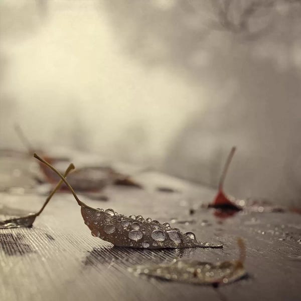 Water Close-Ups: December by Chelsea Victoria