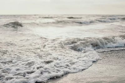 White Shores by Chelsea Victoria canvas print